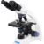 Binocular Microscope